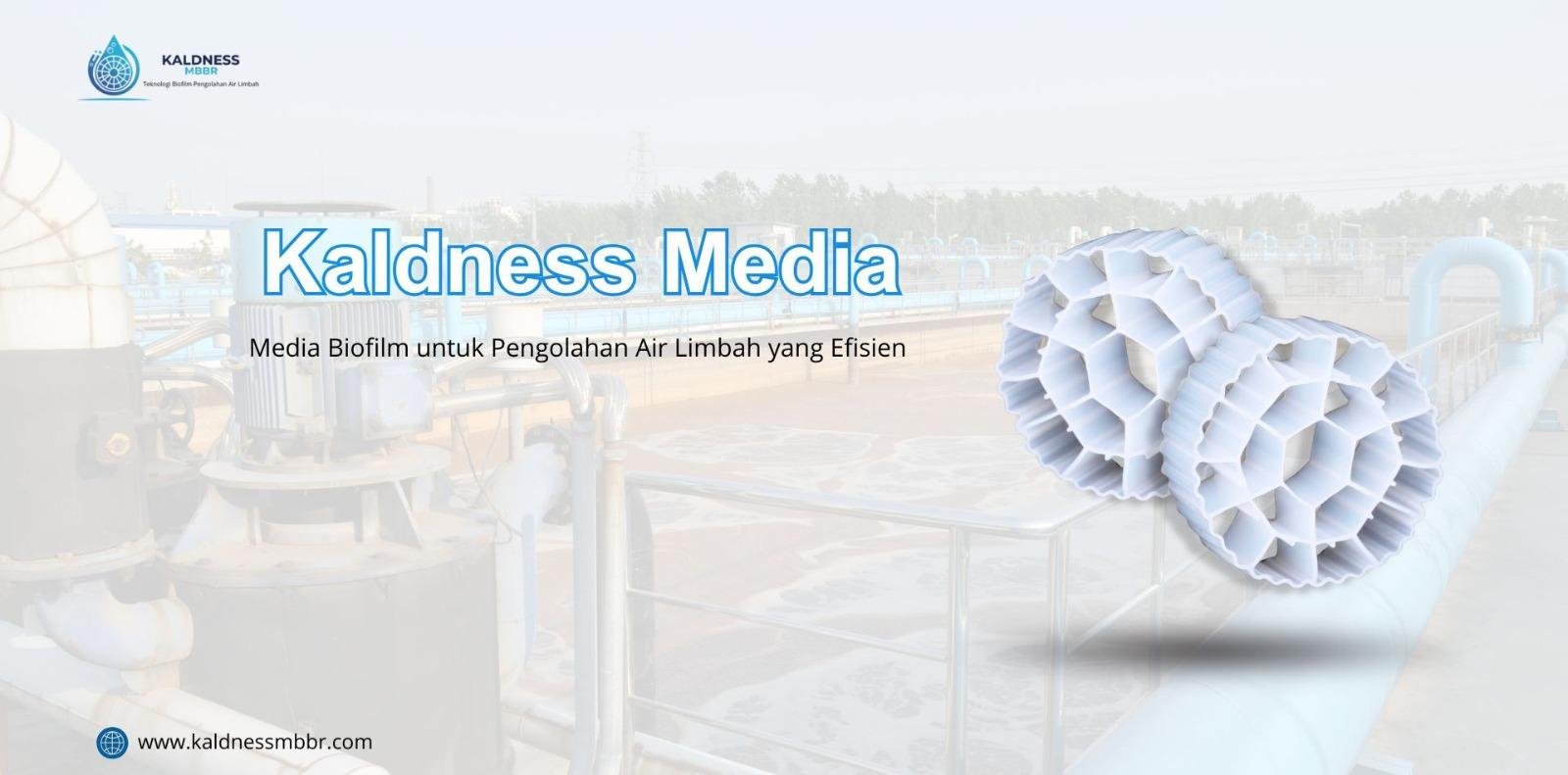 Kaldness Media
